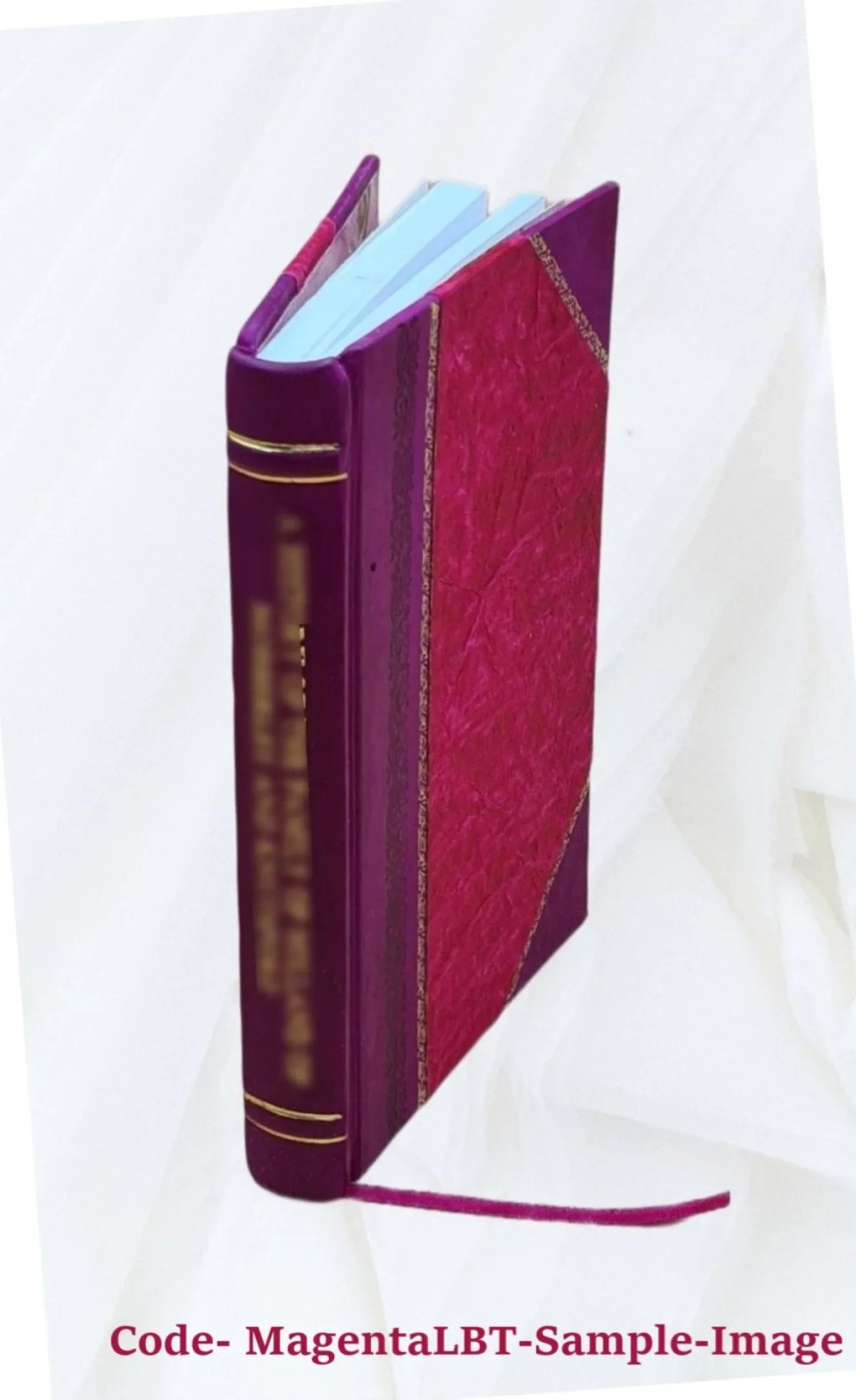 Az átirási (giro) forgalom fejlödéséröl hazánkban ... [Irta] ifj. Koch Antal. 1899 [Leather Bound]