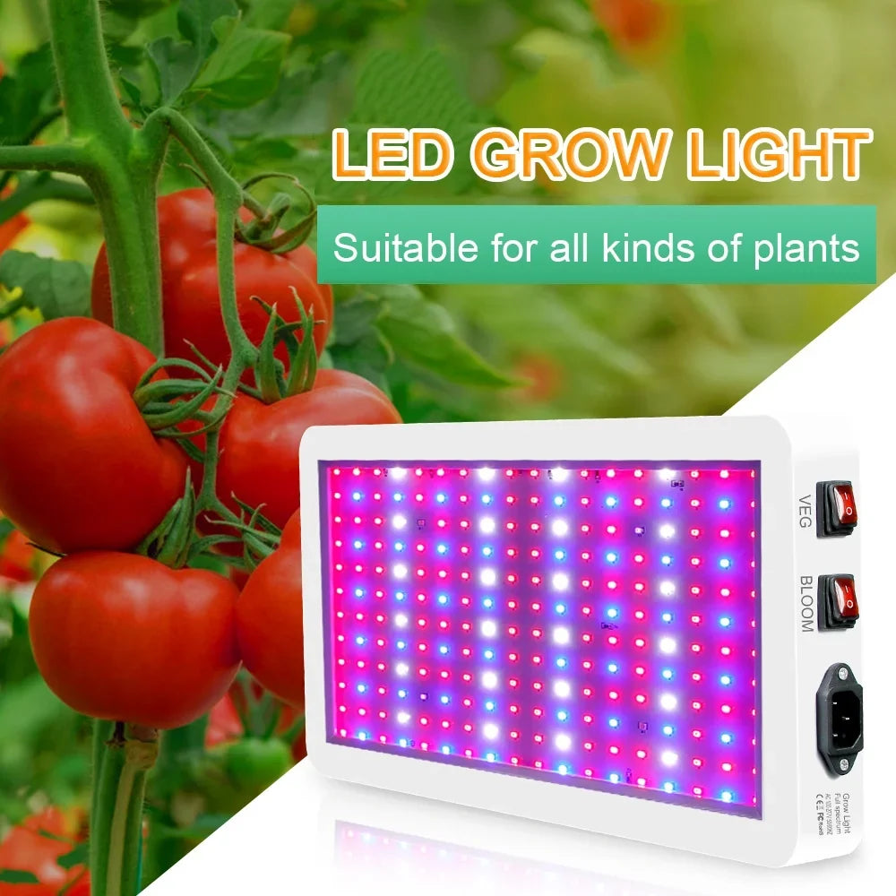 Anself 2000W Full Spectrum LED Grow Light - 312 LEDs with Veg/Bloom Dual Switch - IP65 Waterproof Indoor Plant Growing Lamp - Ideal for Seedlings, Petals Greenhouse Use