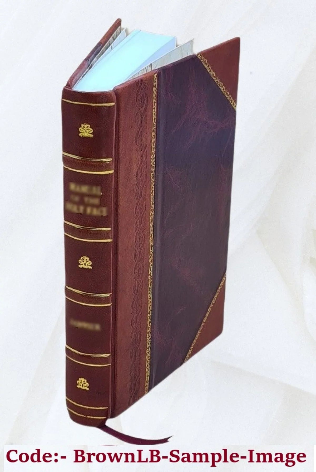 Mémoire sur les moeurs, coustumes et relligion des sauvages de l'Amérique septentrionale / par Nicolas Perrot ; publié pour la première fois par le R. P. J. Tailhan,... 1864 [Leath