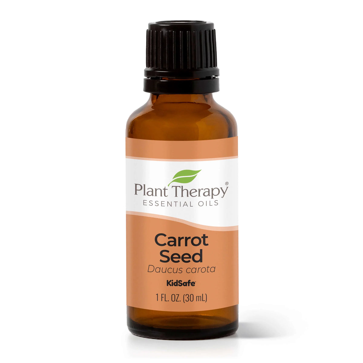 Plant Therapy Carrot Seed Essential Oil 30 mL (1 fl. oz.) 100% Pure, Undiluted, Therapeutic Grade