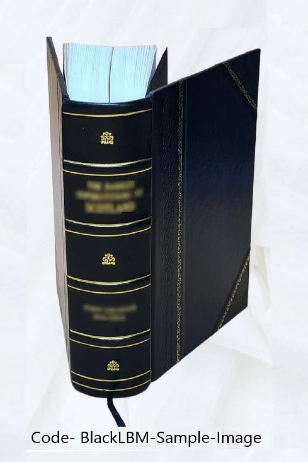 Malt and malting an historical scientific and practical treatise 1885 [Leather Bound]